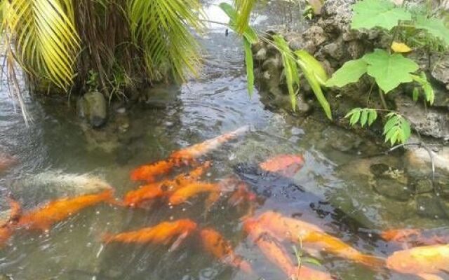 Enchanted Waters Tobago