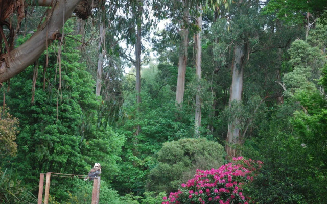Rocky Creek Art Garden B&B