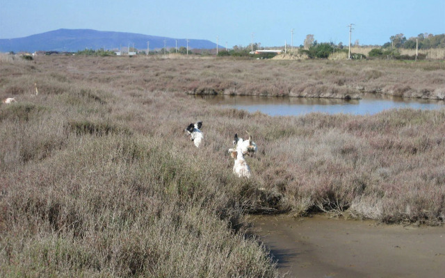 Albergo Residence Villa a Mare