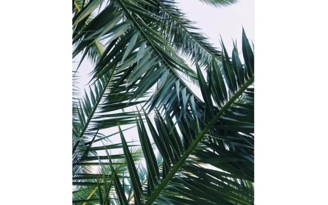 Hotel Due Palme