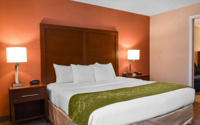 Comfort Suites Downtown Carlisle