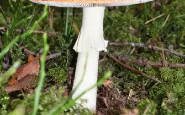 Residence Vis à Vis