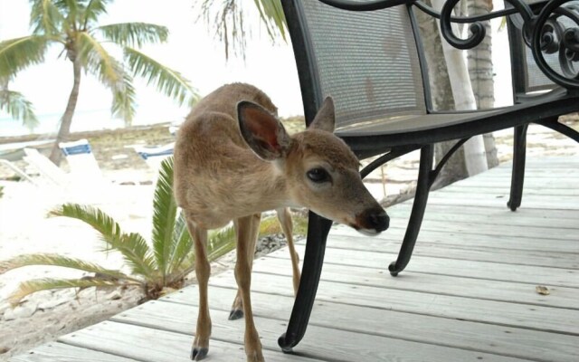 Deer Run Bed & Breakfast