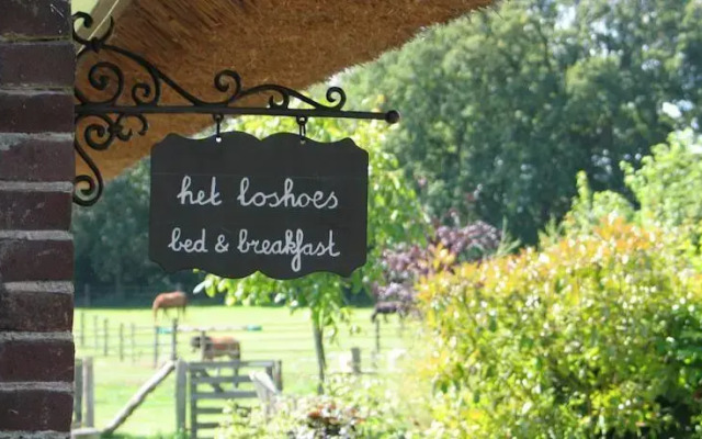 B&B Het Loshoes