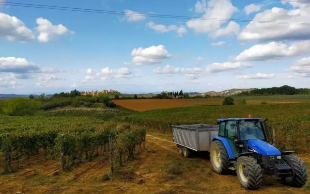 Captivating 3-bedroom Apartment in Certaldo