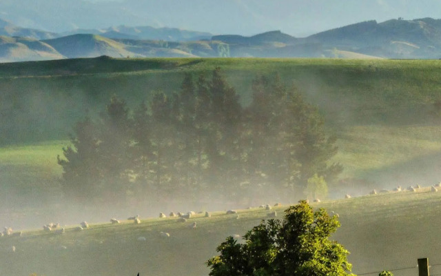 Ribbonwood Country House