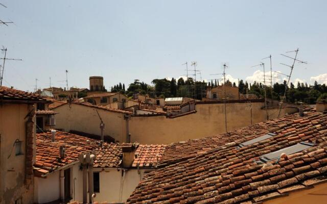 Acacia Firenze - Ciclamino