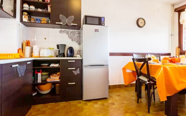 Apartment Palcic