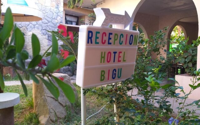 Hotel Bigu