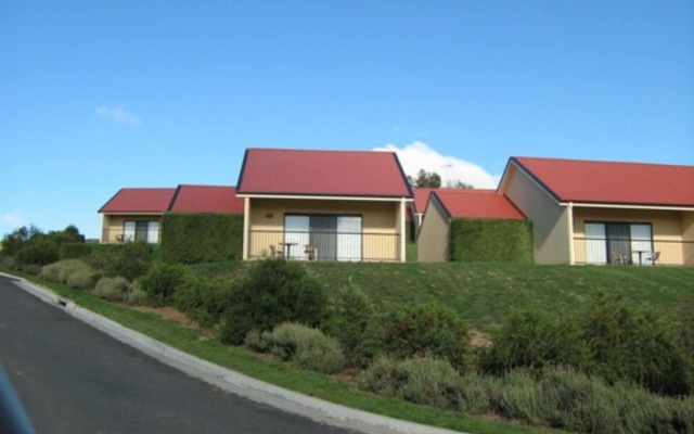Turners Vineyard