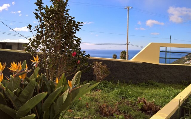 The Sun Palms House