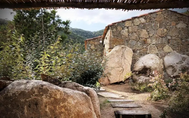 Les Oliviers de Palombaggia