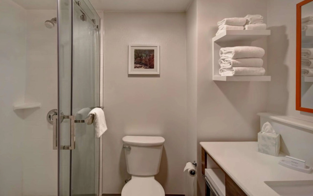 Hampton Inn Birmingham-Colonnade 280