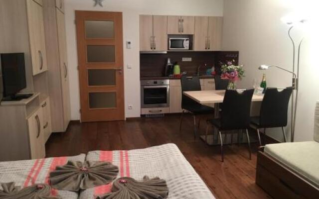 Apartment Medvědín 87