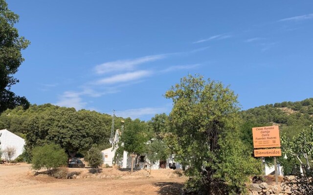 Casas Rurales Cortijo del Cerro Fuentes Nuevas II
