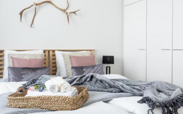 Arctic Aurora City Suite