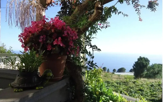 Palheiro Cavalinho - ETC Madeira