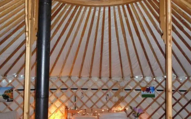 Koa Tree Camp