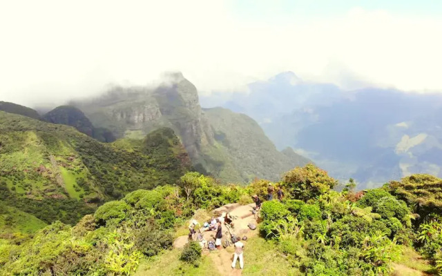 Wild Glamping Knuckles