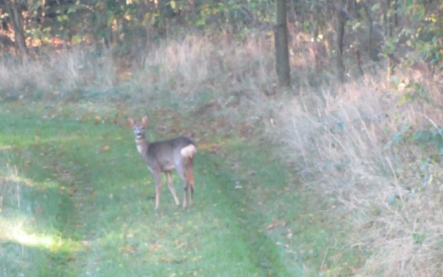 Holiday Home Holmehøj