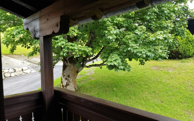 Appartement Mühlebnerhof