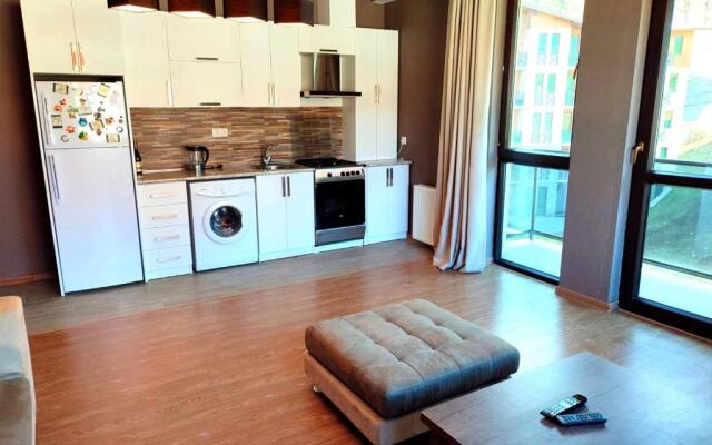 Cozy Flat in Bakuriani