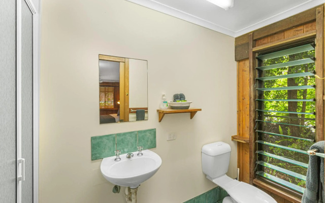 Atherton Blue Gum