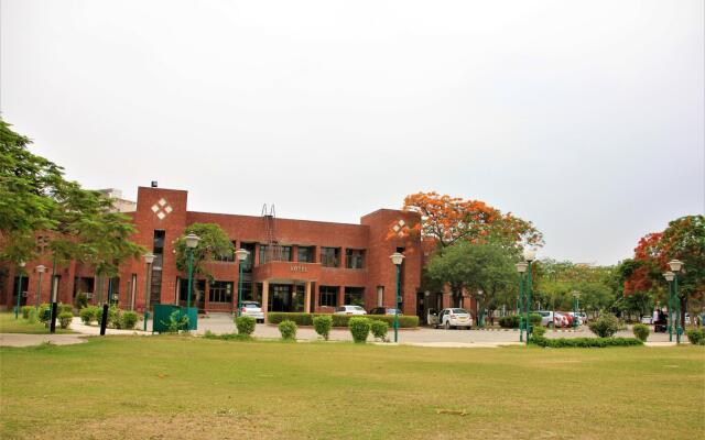 YMCA Greens