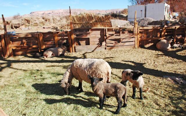 Atacama Loft & Glamp