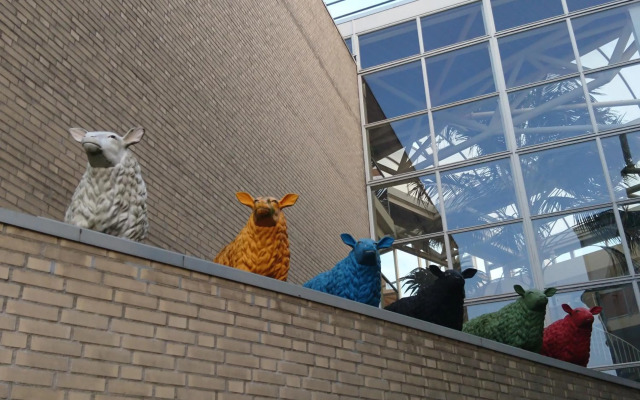 Hiltje - Nice to stay