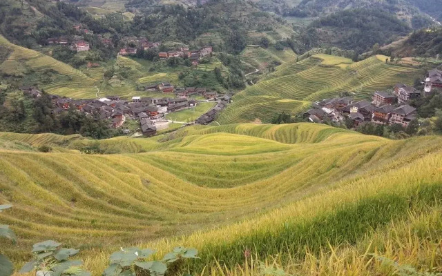 Longji Terrace Chunyuge Inn