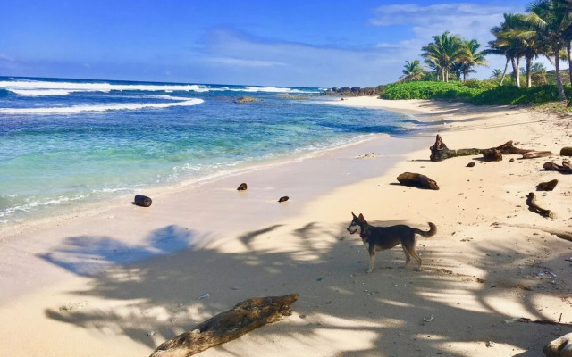 Hotel Utila