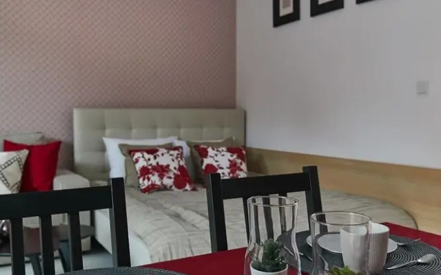 Praga Elegant Studio