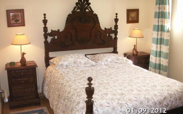 Casa das Camélias - I.B.G. HOME
