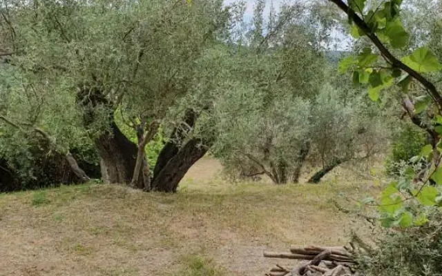 Vacation Home In Slano Near Dubrovnik