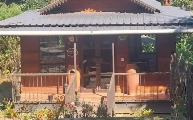 RedPanda Jungle Camp