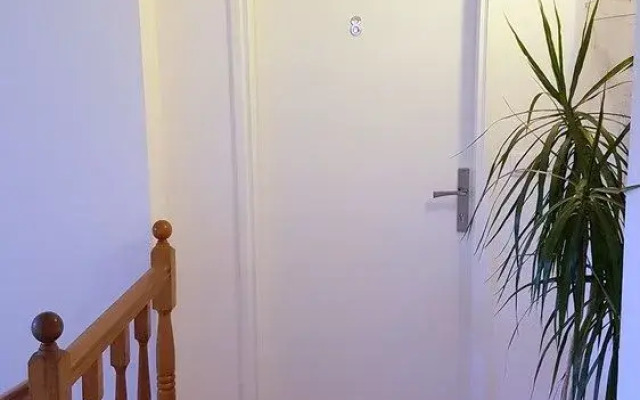 Apartments & Rooms M