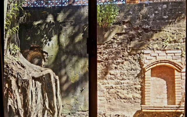 Casa del Arbol