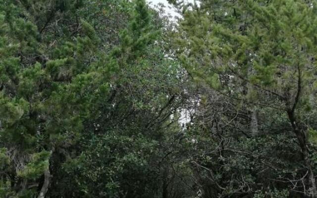 Casa Bruna - Cipresseta del Chianti