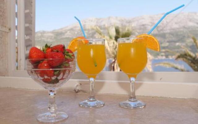 Guest House Holiday