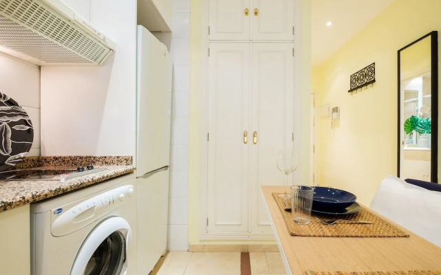 Nice studio in Malasaña