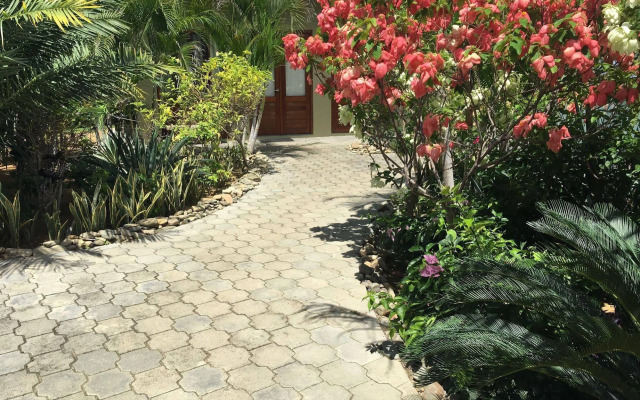 Soma Surf Resort