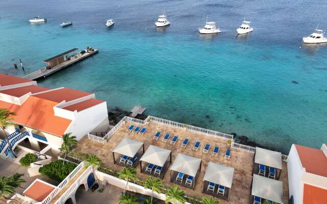 Divi Flamingo Beach Resort & Casino