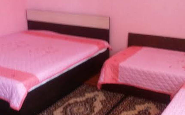 Elena Guest House