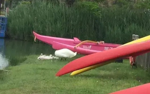 Apartaments Marina del Cavallino