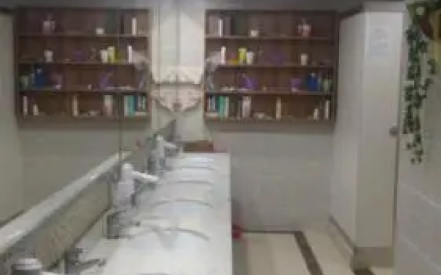 The Olive Tree Capsule Hostel