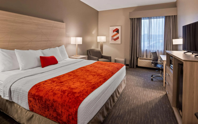 Best Western Plus New Cumberland Inn & Suites