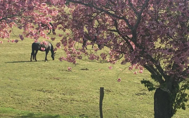 Wohnung-Felsenauster-im-Haus-Muschelgarten