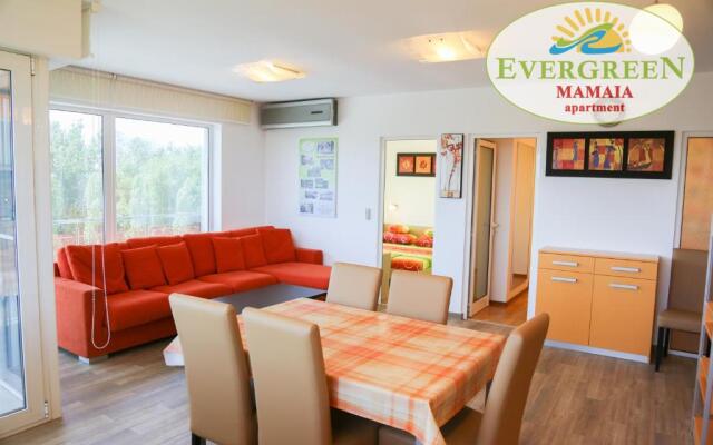 Evergreen Vlas Mamaia