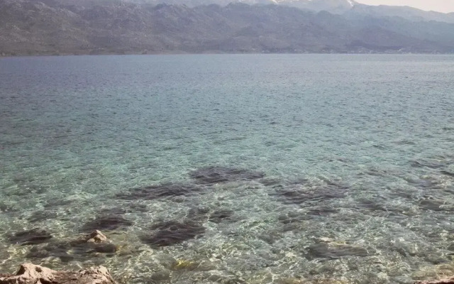 Mario - With Garden - A2